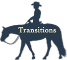 Transitions Button